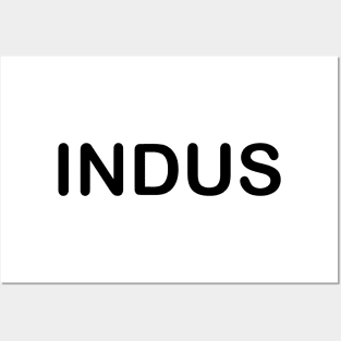 INDUS Posters and Art